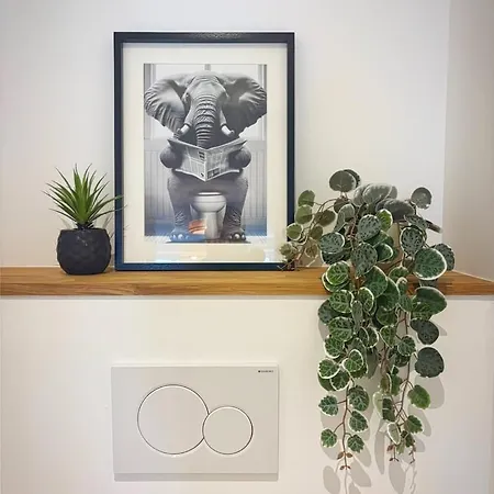 Joli Perot La Rochelle (Charente-Maritime)